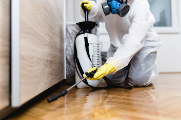 Best Pest Prevention Services  in Sikeston, MO