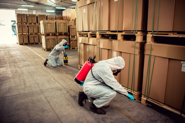 Best Pest Removal Services  in Sikeston, MO