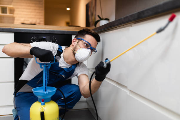 Best Mosquito Control Services  in Sikeston, MO