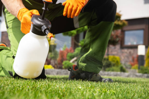 Best Pest Control Treatment  in Sikeston, MO