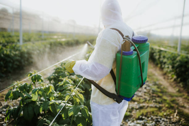 Sikeston, MO Pest Control Company